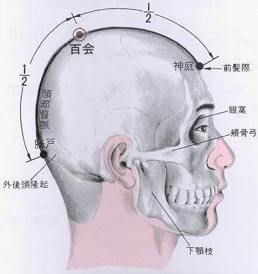 天竅穴位置|醫砭 » 經穴庫 » 天容